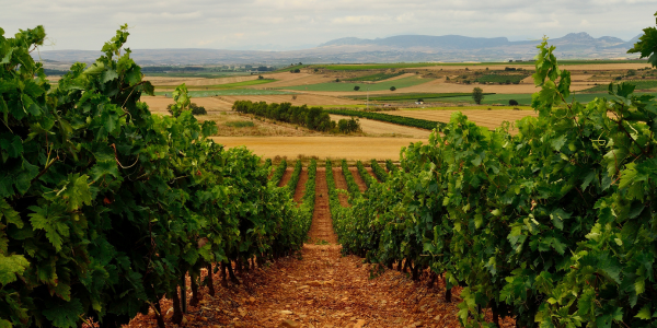 la rioja